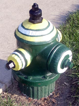 Packers - 1200 S. Villa (2)